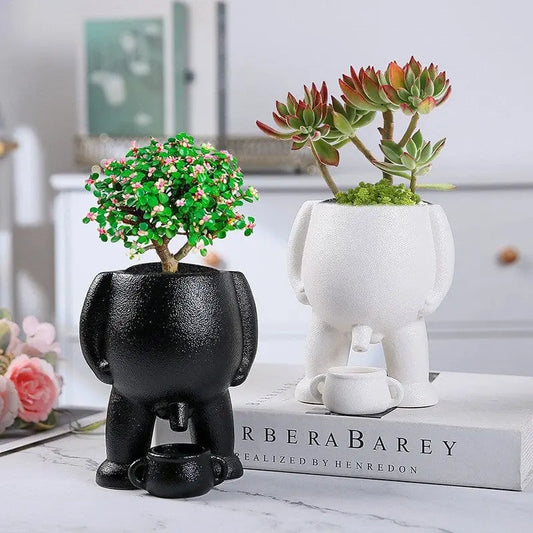 Charming Whimsical Planter for Your Green Friends Brooklyn & Birch